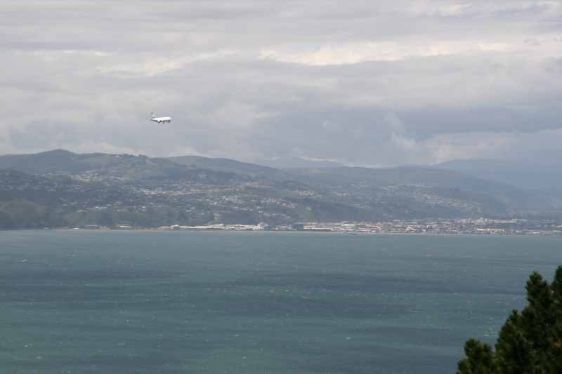 Nieuw-Zeeland 2011 - 0896